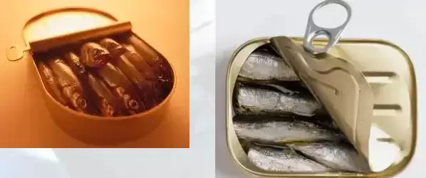 《食之契约》沙丁鱼罐头飨灵介绍