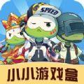 小小