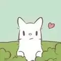 猫和汤