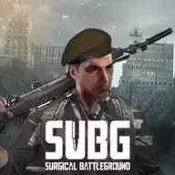 战地求生（SUBG）