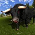 愤慨的公牛攻击捕食者3D