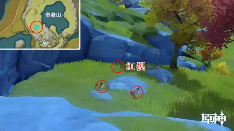 《原神》四方八方雪狐捕捉位置分享