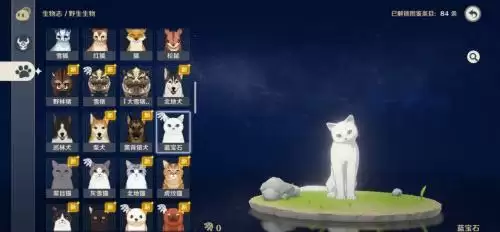 《原神》蓝宝石猫位置介绍