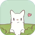 猫和汤圣诞节