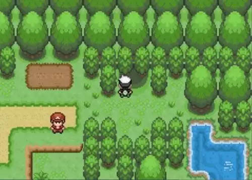 口袋妖怪究极绿宝石5.2火箭队怎么打？彩虹火箭队通关攻略分享图片2