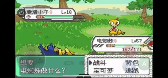 《口袋妖怪究极绿宝石5》全道路分布精灵图鉴大全