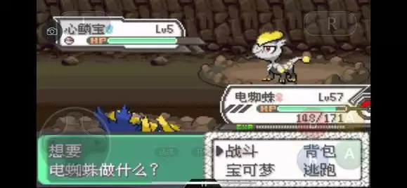 《口袋妖怪究极绿宝石5》全道路分布精灵图鉴大全