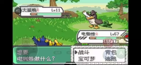 《口袋妖怪究极绿宝石5》全道路分布精灵图鉴大全