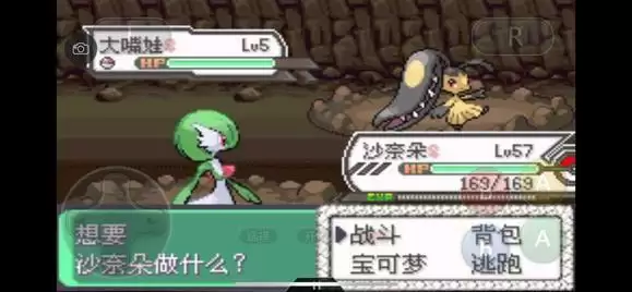 《口袋妖怪究极绿宝石5》全道路分布精灵图鉴大全