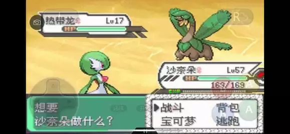 《口袋妖怪究极绿宝石5》全道路分布精灵图鉴大全