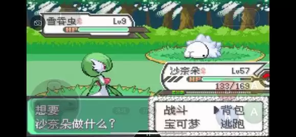 《口袋妖怪究极绿宝石5》全道路分布精灵图鉴大全