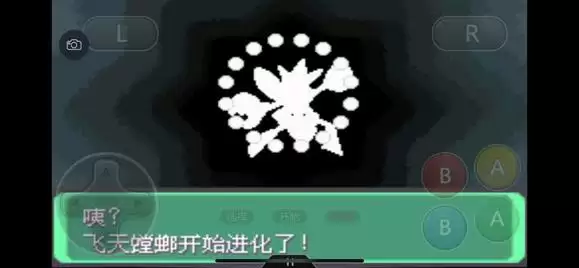 《口袋妖怪究极绿宝石5》全道路分布精灵图鉴大全