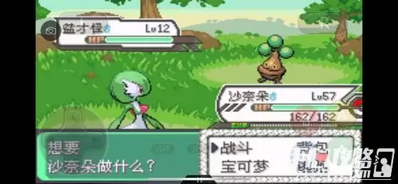 《口袋妖怪究极绿宝石5》全道路分布精灵图鉴大全