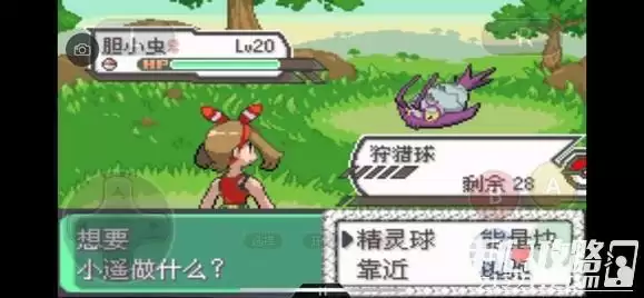 《口袋妖怪究极绿宝石5》全道路分布精灵图鉴大全