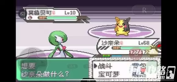 《口袋妖怪究极绿宝石5》全道路分布精灵图鉴大全