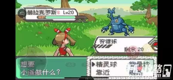 《口袋妖怪究极绿宝石5》全道路分布精灵图鉴大全