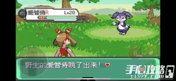 《口袋妖怪究极绿宝石5》全道路分布精灵图鉴大全