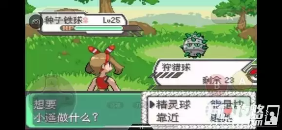 《口袋妖怪究极绿宝石5》全道路分布精灵图鉴大全