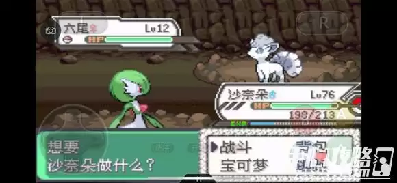 《口袋妖怪究极绿宝石5》全道路分布精灵图鉴大全