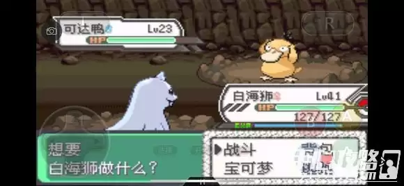 《口袋妖怪究极绿宝石5》全道路分布精灵图鉴大全