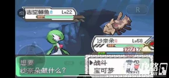 《口袋妖怪究极绿宝石5》全道路分布精灵图鉴大全