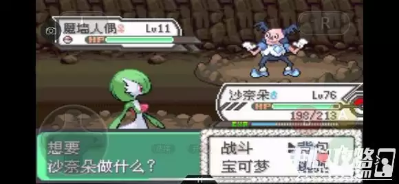 《口袋妖怪究极绿宝石5》全道路分布精灵图鉴大全