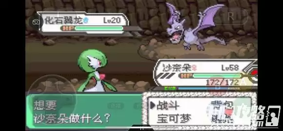 《口袋妖怪究极绿宝石5》全道路分布精灵图鉴大全