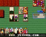 Hanafuda Hana Gokou ROM