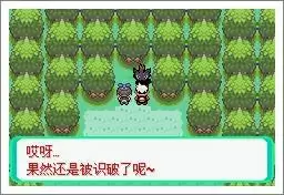 口袋妖怪漆黑的魅影5.0exbw攻略