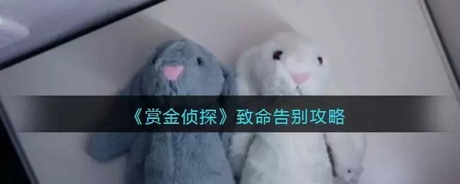 《赏金侦探》致命告别攻略