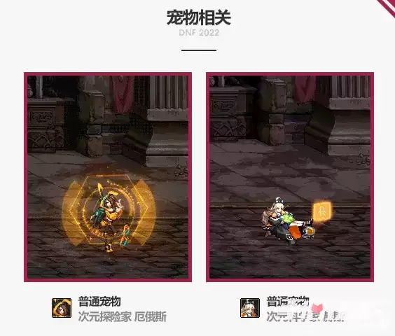 《dnf》2022新年宠物介绍分享 《dnf》2022新年宠物介绍分享