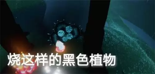 光遇1月12日每日任务完成攻略2022