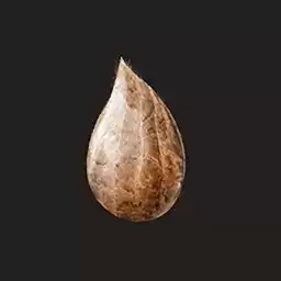 种