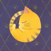 猫咪分类