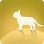 恋猫世界红包