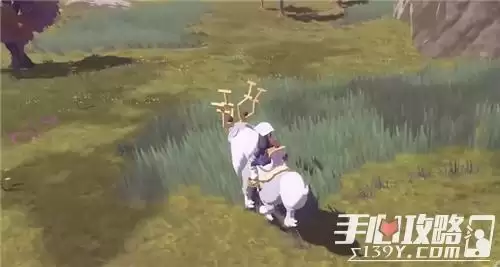 《宝可梦传说阿尔宙斯》购买建议