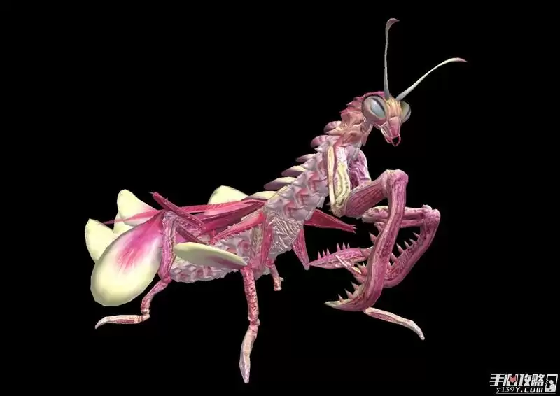 《妄想山海》万年嘉刀螳介绍 《妄想山海》万年嘉刀螳介绍