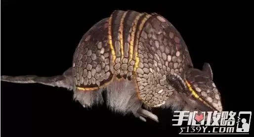 《妄想山海》万年嘉冉遗鱼位置分享 《妄想山海》万年嘉冉遗鱼位置分享