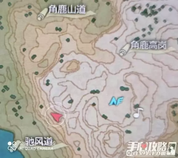 《宝可梦传说阿尔宙斯》小卡比兽在哪里抓