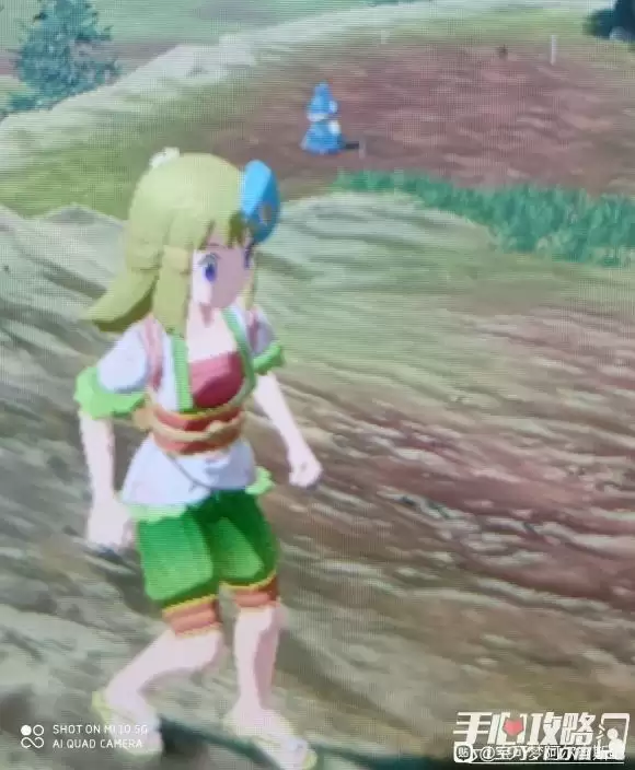 《宝可梦传说阿尔宙斯》小卡比兽在哪里抓