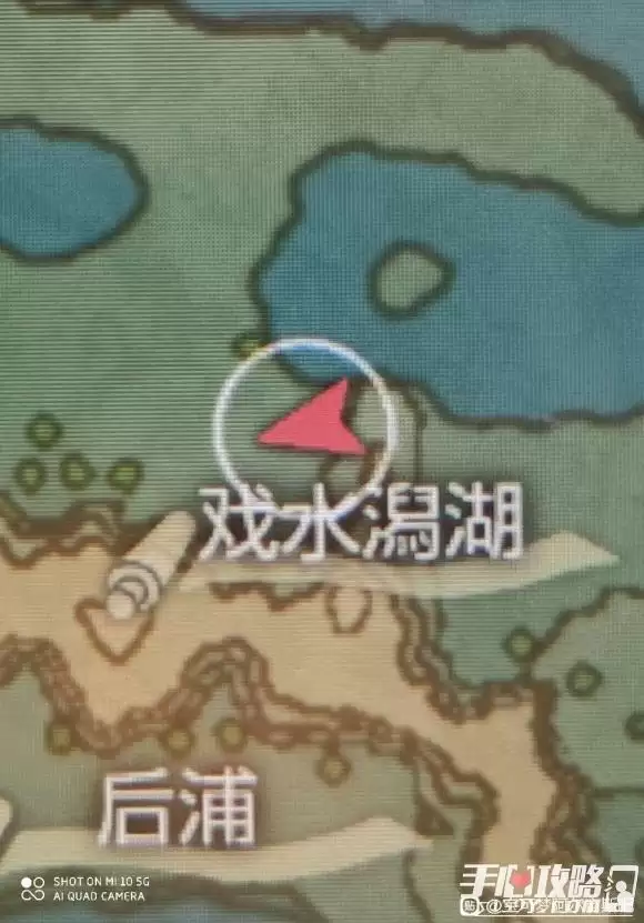 《宝可梦传说阿尔宙斯》波克比在哪里抓