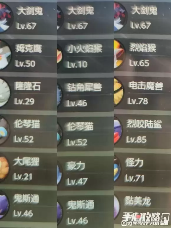 《宝可梦传说阿尔宙斯》通关队伍分享