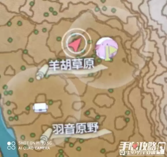 《宝可梦传说阿尔宙斯》帕琪利兹在哪里抓