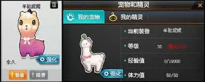 qq飞车一只宠物得花多少能量