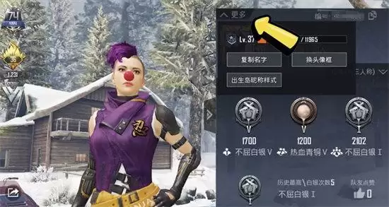 和平精英v标志是什么