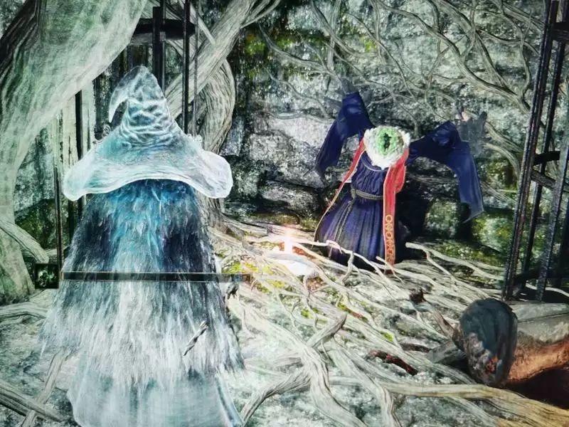 艾尔登法环封印魔女的废墟怎么救？封印魔女的废墟救人方法图片11