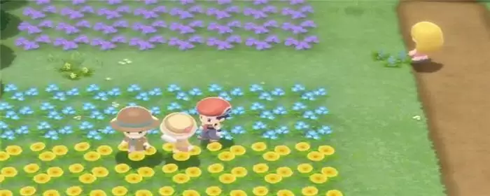 宝可梦晶灿钻石圆陆鲨在哪抓