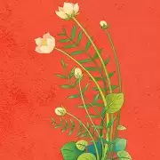 绿色果园红包