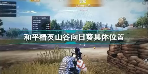 和平精英山谷向日葵在哪 和平精英山谷向日葵具体位置