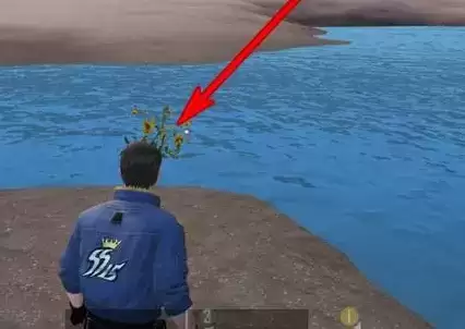 和平精英山谷向日葵在哪 和平精英山谷向日葵具体位置